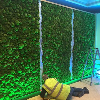 Living moss wall being installed in Land Rover's hospitality suite at Twickenham Rugby Stadium